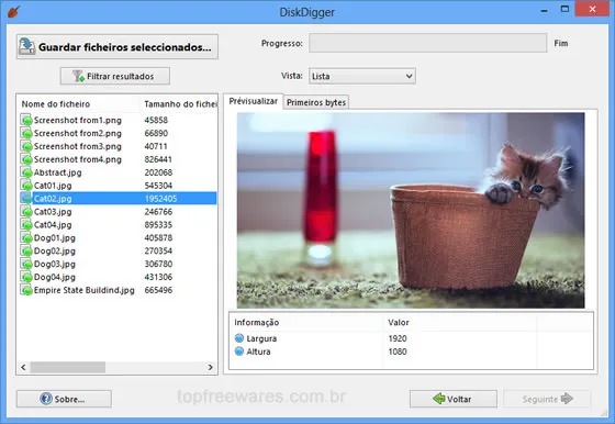 DiskDigger Programa para recuperar arquivos deletados - DiskDigger