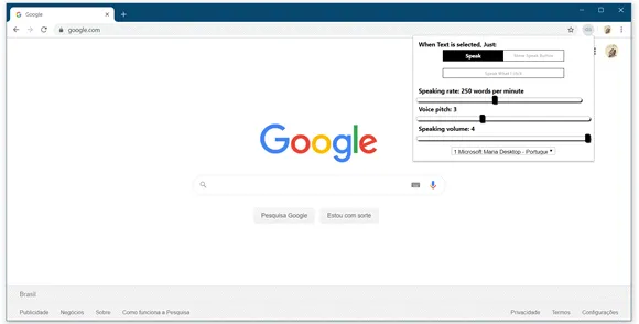 speak chrome