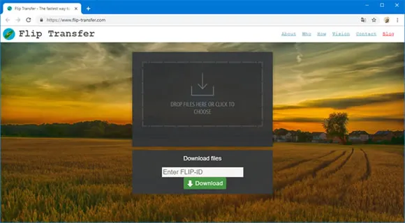 flip transfer site