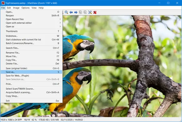 irfanview webp