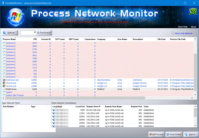 process network monitor