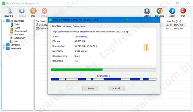 neat download manager top5ad