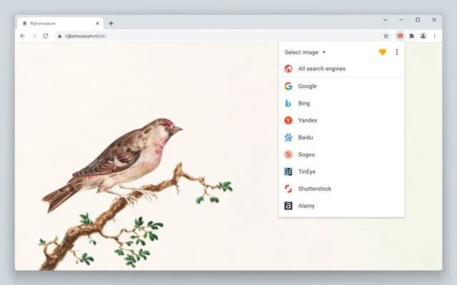 search by image top5 extensoes pesquisar imagens
