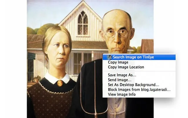 tinieye reverse image search top5 extensoes pesquisar imagens