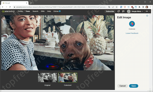 ancestry top5 sites colorir fotos preto branco ancestry top5 sites colorir fotos preto branco