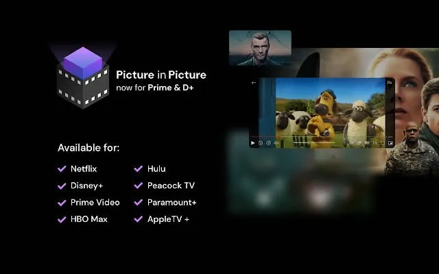 netflix picture picture