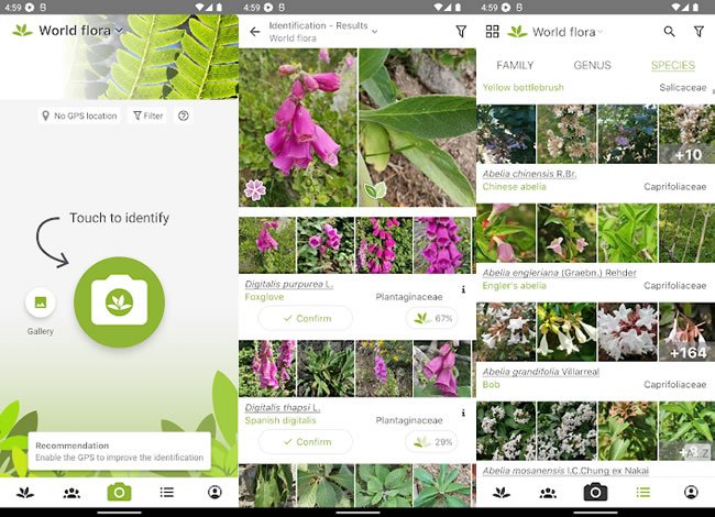plantnet plantnet