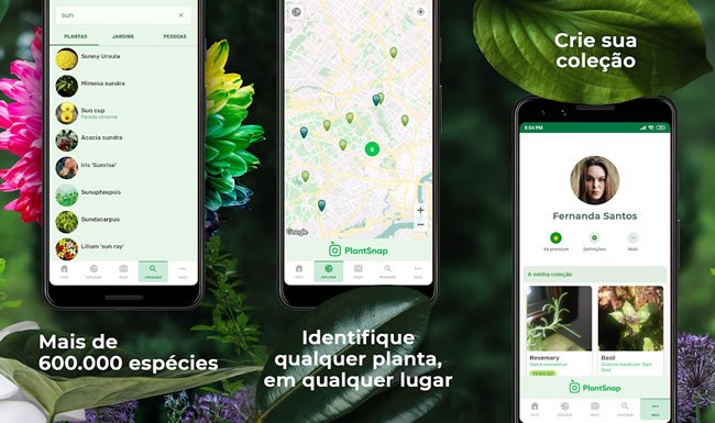 plantsnap plantsnap