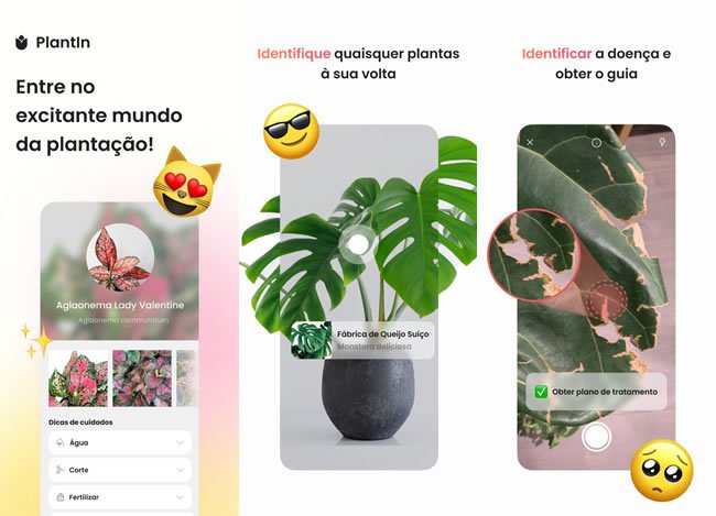 plantin top5 apps identificar plantas iphone plantin top5 apps identificar plantas iphone