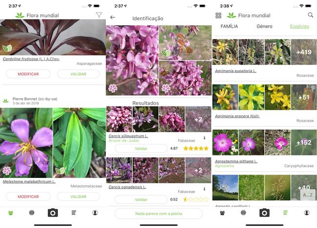 plantnet top5 apps identificar plantas iphone plantnet top5 apps identificar plantas iphone