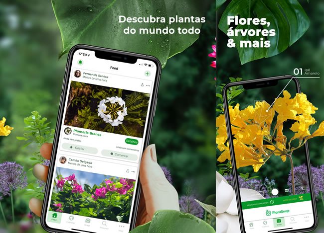plantsnap top5 apps identificar plantas iphone plantsnap top5 apps identificar plantas iphone