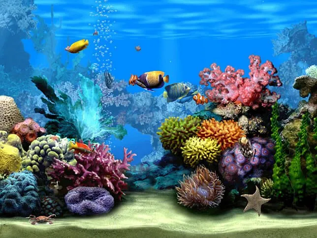 living marine aquarium 2 top5 protecao tela windows10 11